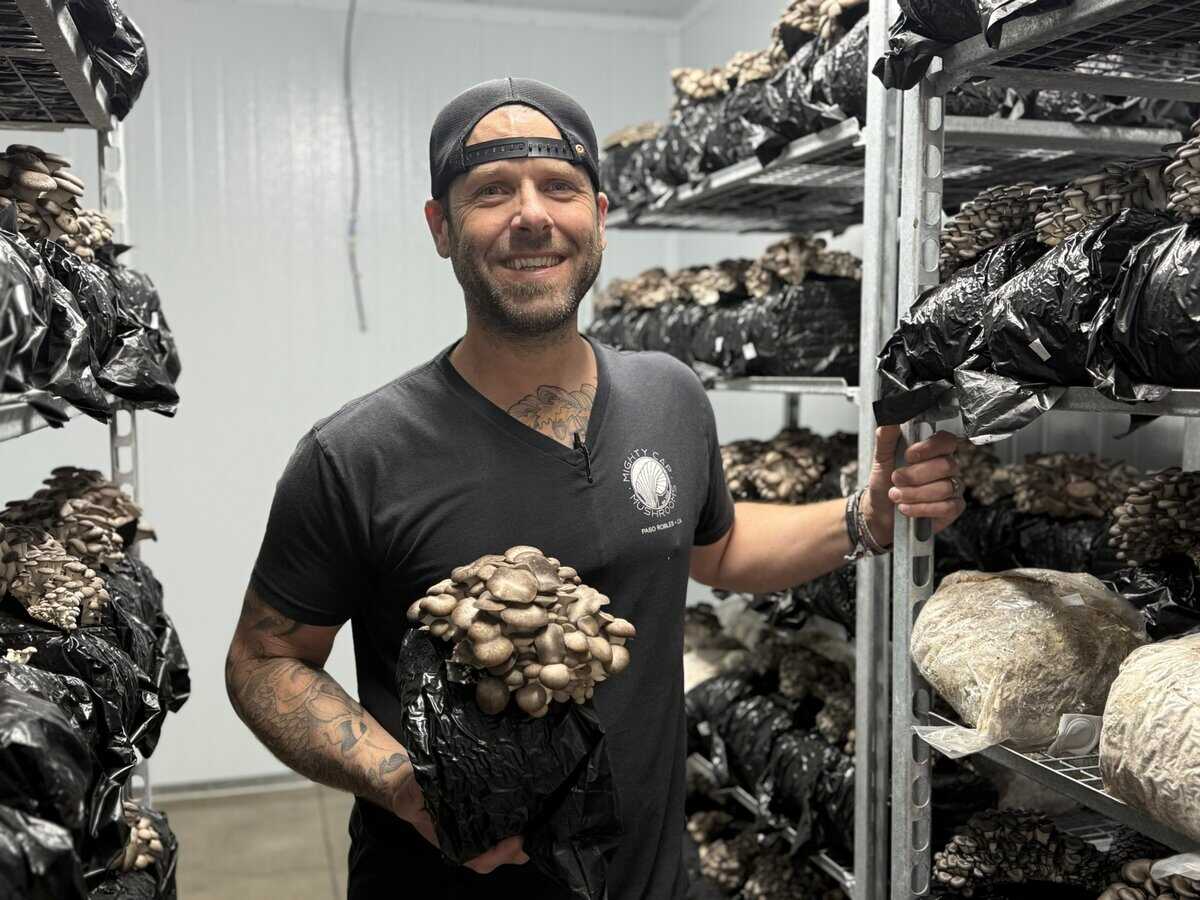Mighty Cap Mushrooms: A Gourmet Mushroom Revolution in Paso Robles