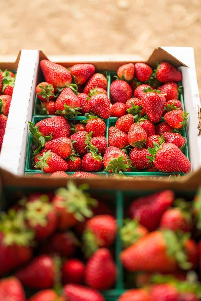 freshly picked california strawberries