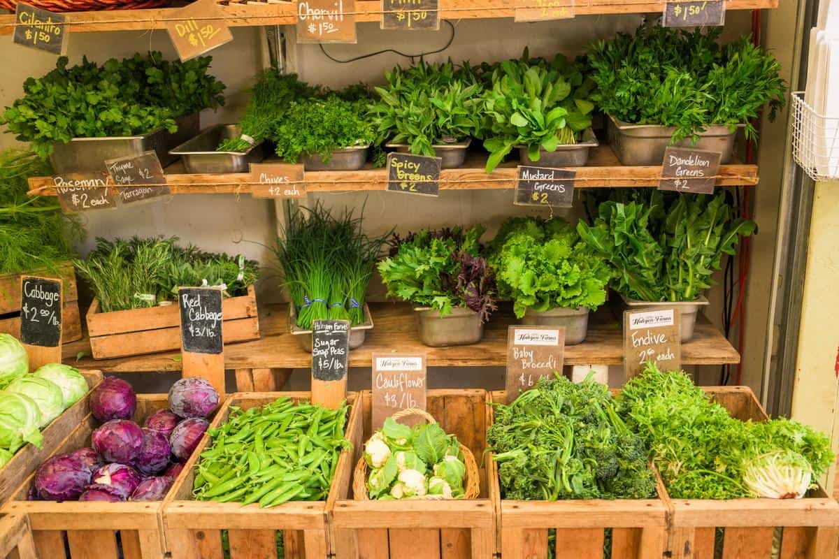 assortment of fresh lettuces and greens in a farm stand