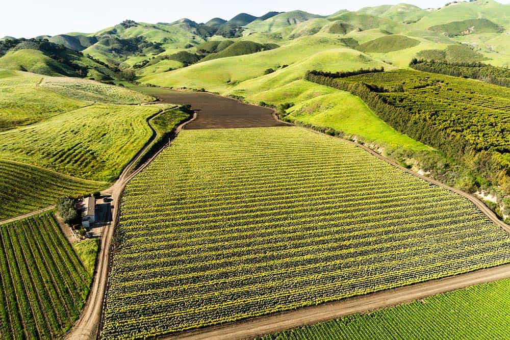 San Luis Obispo County: Central Coast Agriculture Meets Artistry