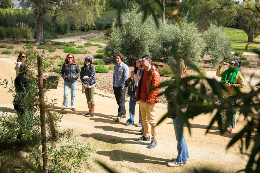 Guests on a tour of Pasolivo's grounds