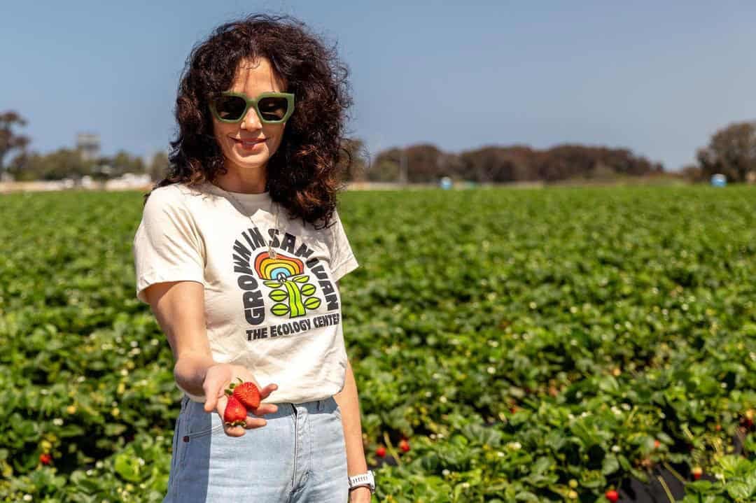 Carlsbad Strawberry Company: Farming, Family and Fun