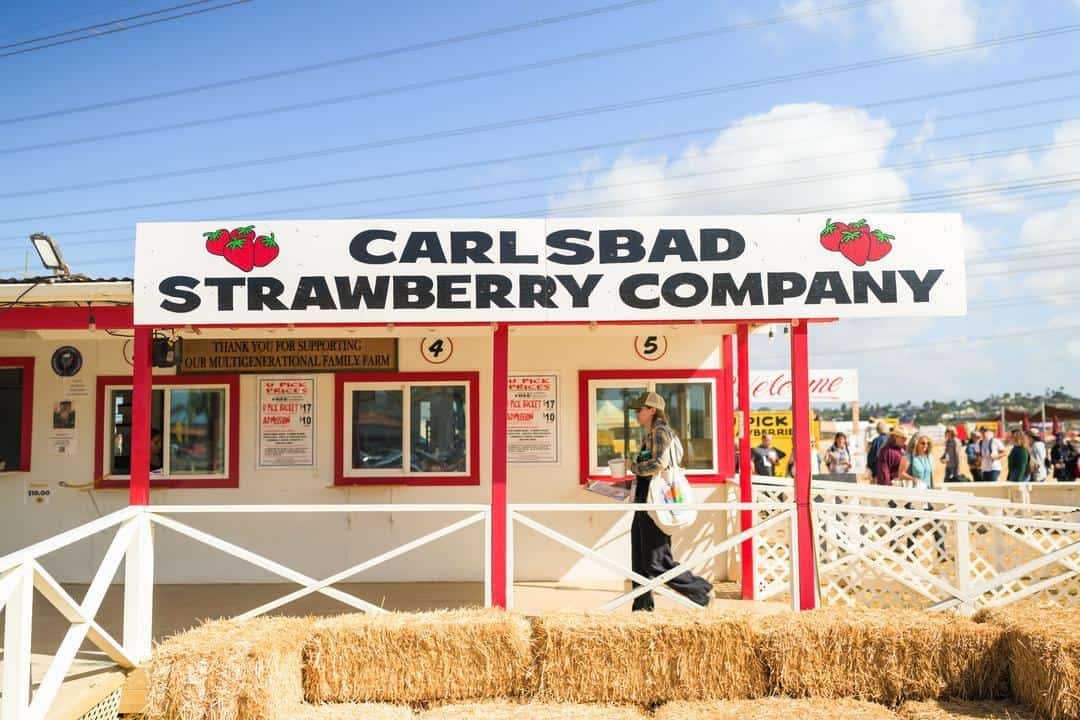 Farm stand and office of Carlsbad Strawberry Company 