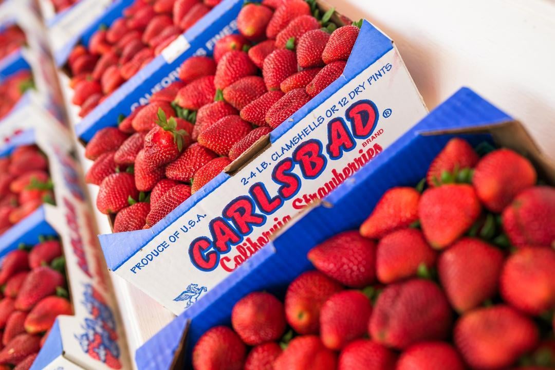 trays of strawberries for sale at Carlsbad Strawberry Company 