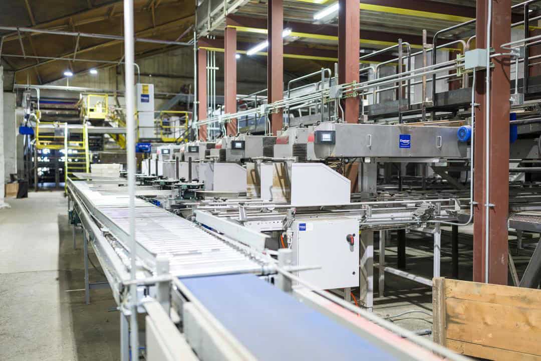 Cal-Ore potato processing equipment