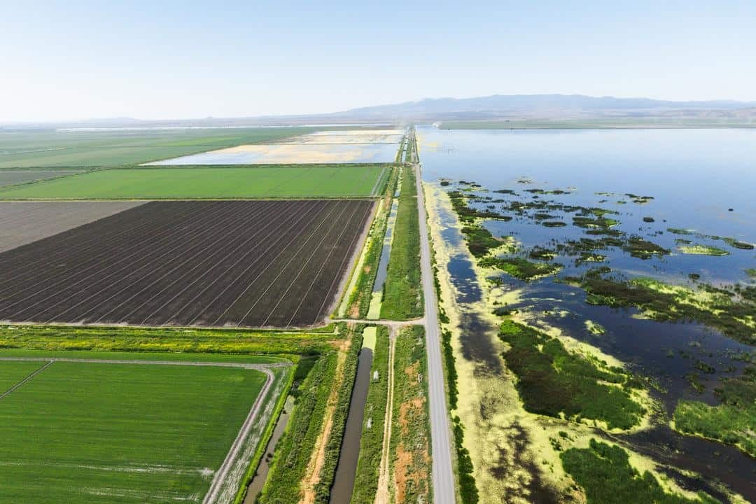 aerial view of Staunton Farms potatoes