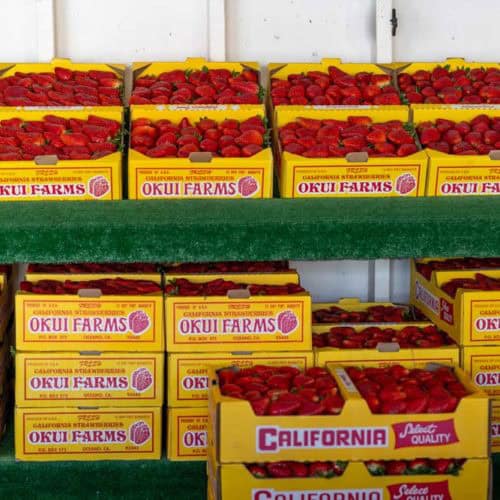 Don’t Miss Okui’s Strawberry n Fruit Stand in Grover Beach