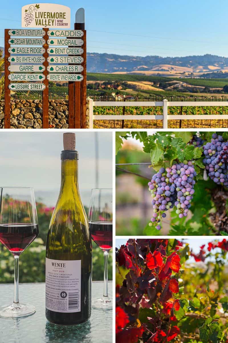 Discover the Roots of California With Livermore Wine History