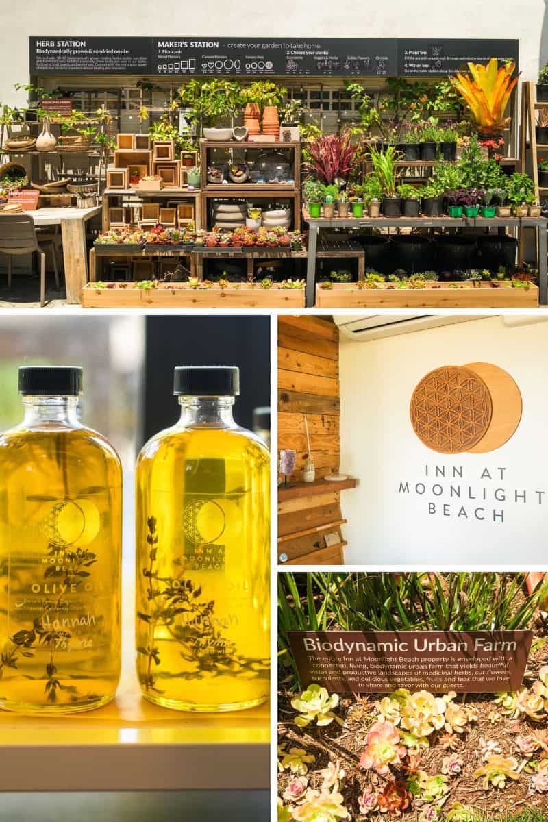 Inn at Moonlight Beach – A Biodynamic Farm in Encinitas