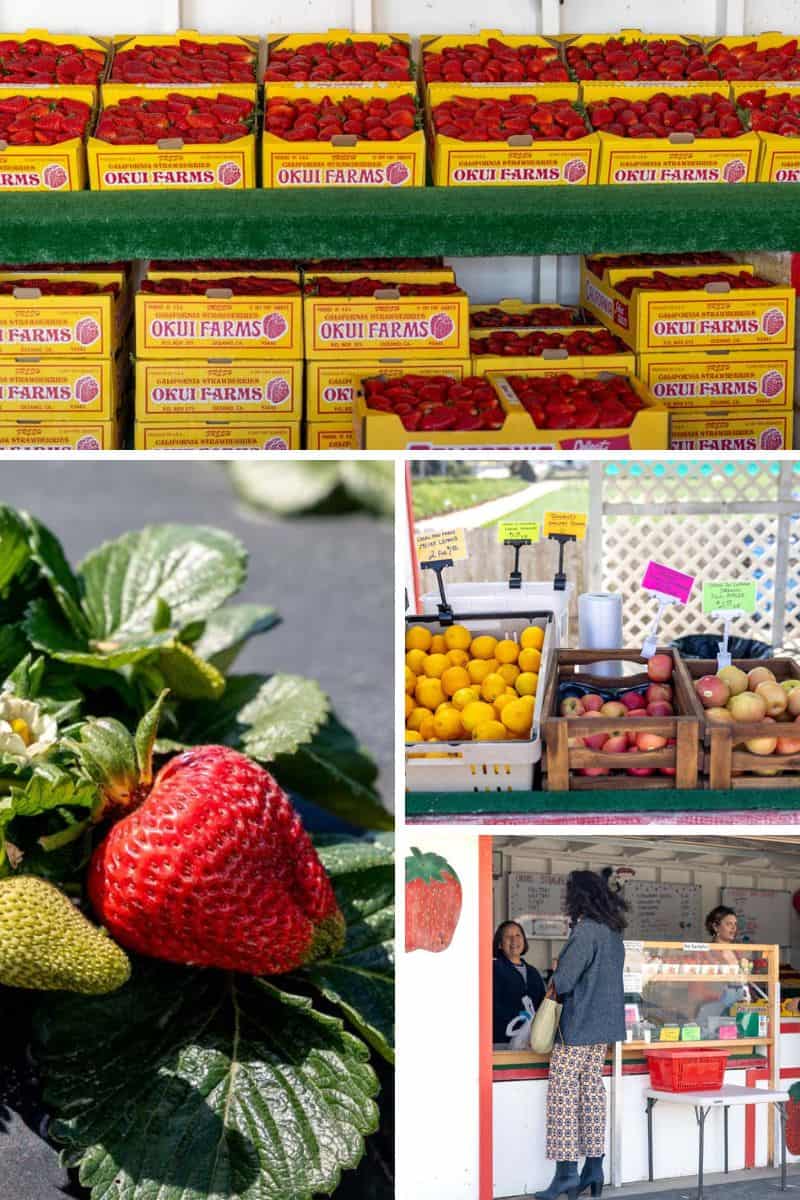 Don’t Miss Okui’s Strawberry n Fruit Stand in Grover Beach