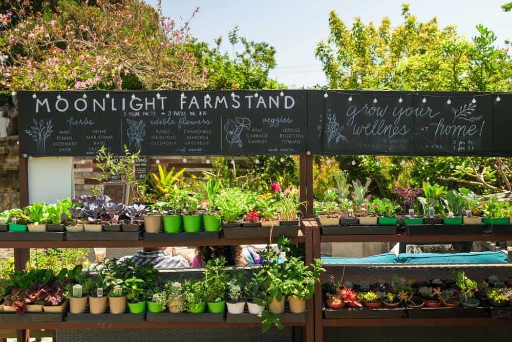 The Moonlight farm stand at the Inn at Moonlight Beach.