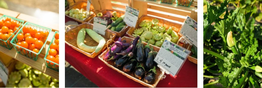 Gallery of some of the crops grown at Red Gate Ranch in Red Bluff