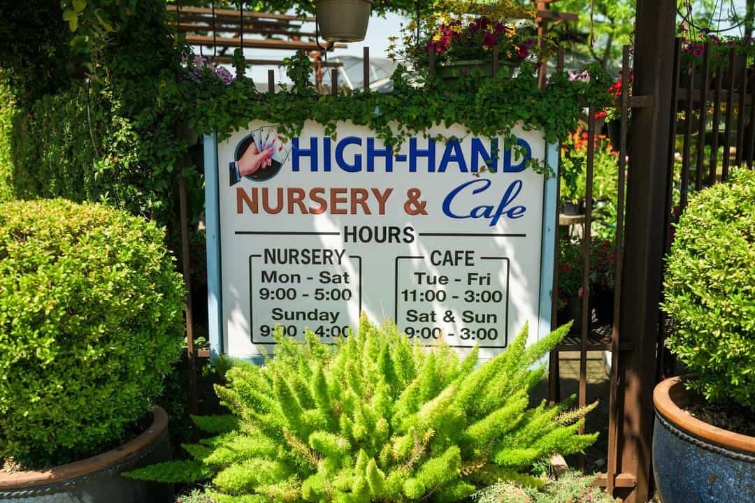 High-Hand Nursery: Flowers, Olive Oil and Placer County History
