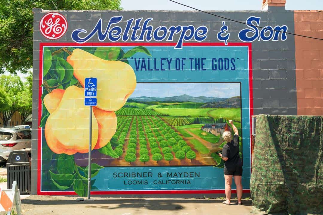 Vintage midcentury artwork in downtown Loomis