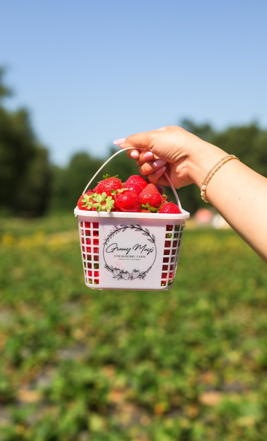 woman holding a basket of berries that she picked at Granny May's Strawberry Farm