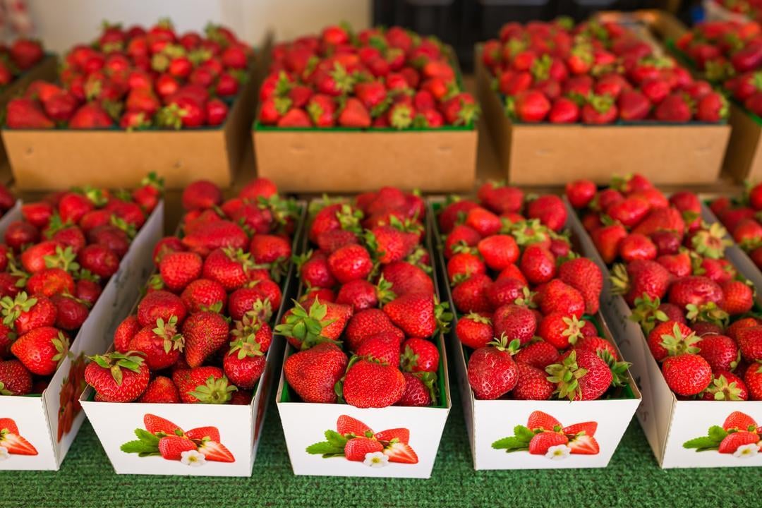 cartons of strawberries at the fresh produce stand at Granny May's Strawberry Farm 