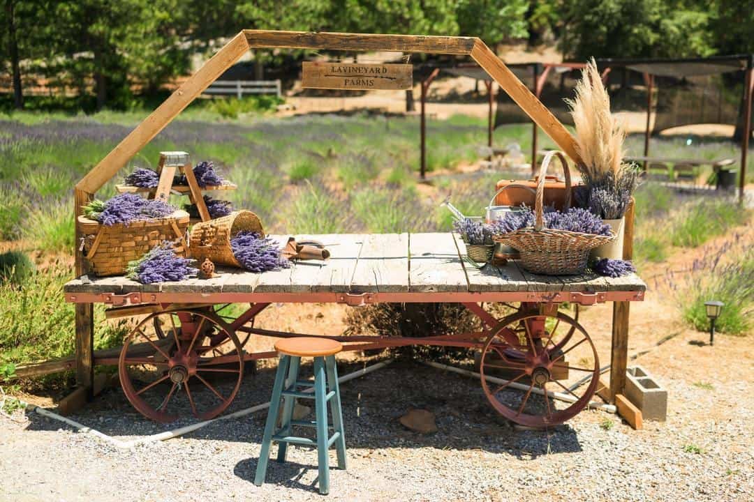 a work table covered with lavender at Lavineyard Farms 