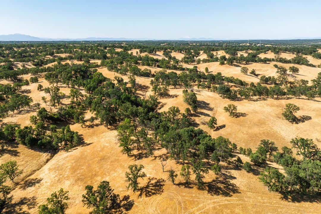 Aerial View of Red Bluff in Tehama County 