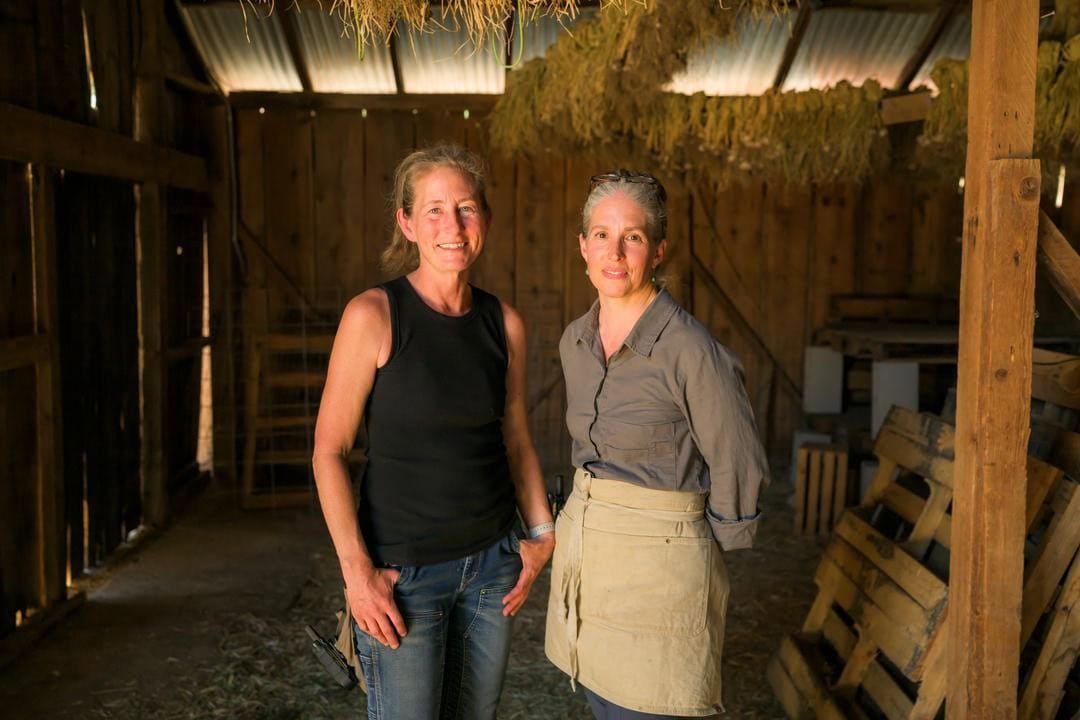Red Gate Ranch: Authentic, Farm-Fresh Organic Products