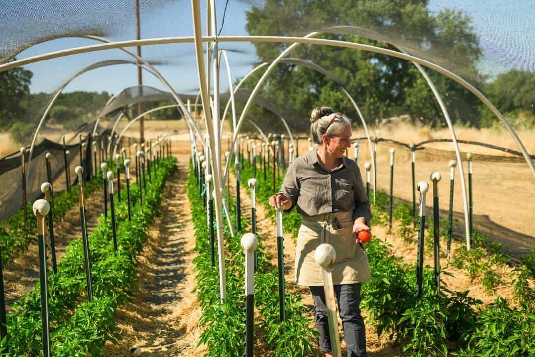 Audrey Pascone walking through one of the shade structures at Red Gate Ranch 