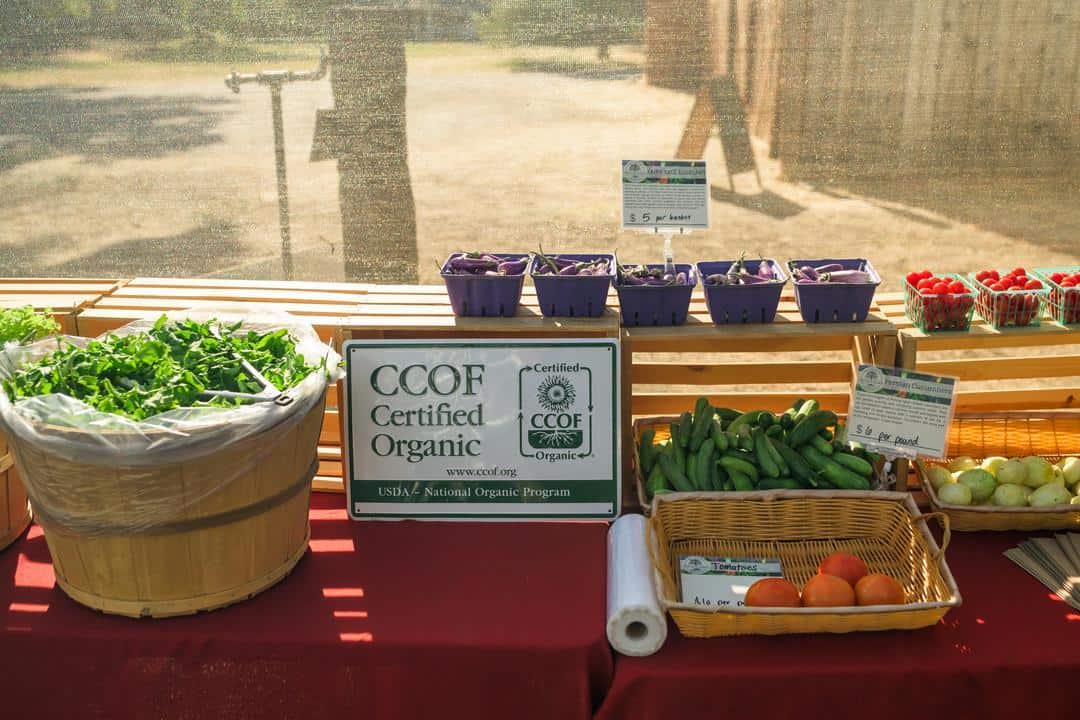 Red Gate Ranch, a CCOF certified farm 