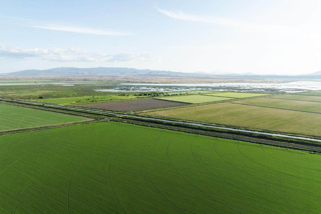 Looking out at farmland at Seus Family Farms
