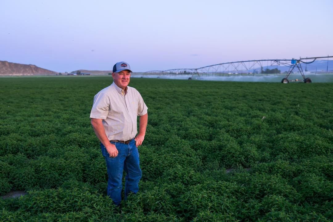 Sustainability Looks Different at Seus Family Farms
