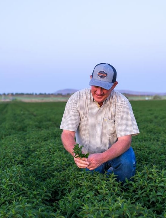 Scott Seus in a field of mint at Seus Family Farms