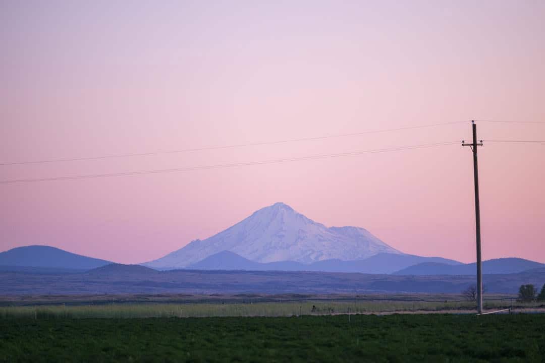 View looking out at Mount Shasta from Seus Family Farms