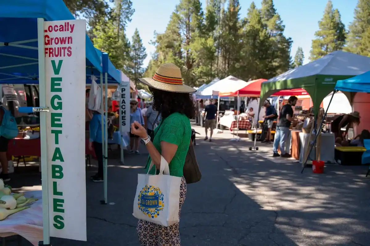 Lake Tahoe Food Activities