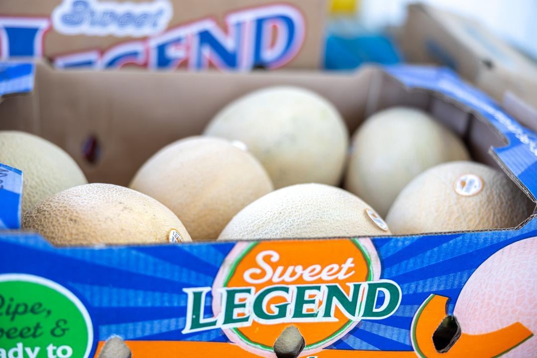 Legend Produce: Cantaloupe, Origami Melons and More!