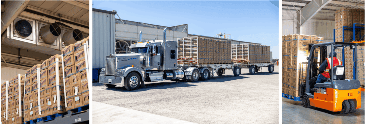 cantaloupe being transported to cold storage