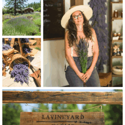 Collage of images featuring Sam Narens, Lavineyard Farms and dried lavender