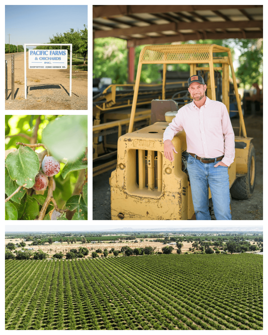 Pacific Farms: Growing Prunes and Walnuts in Tehama County