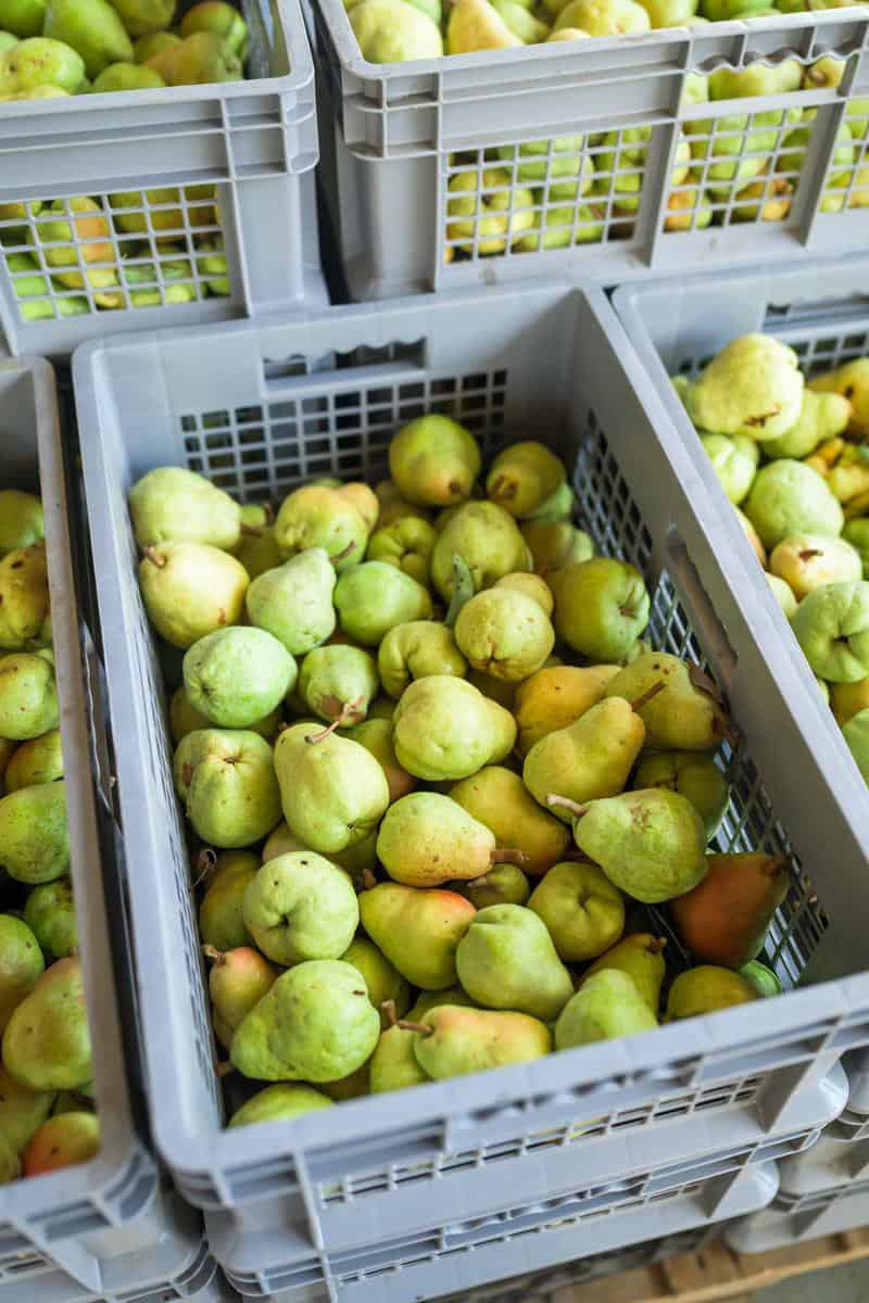 crate of green pears