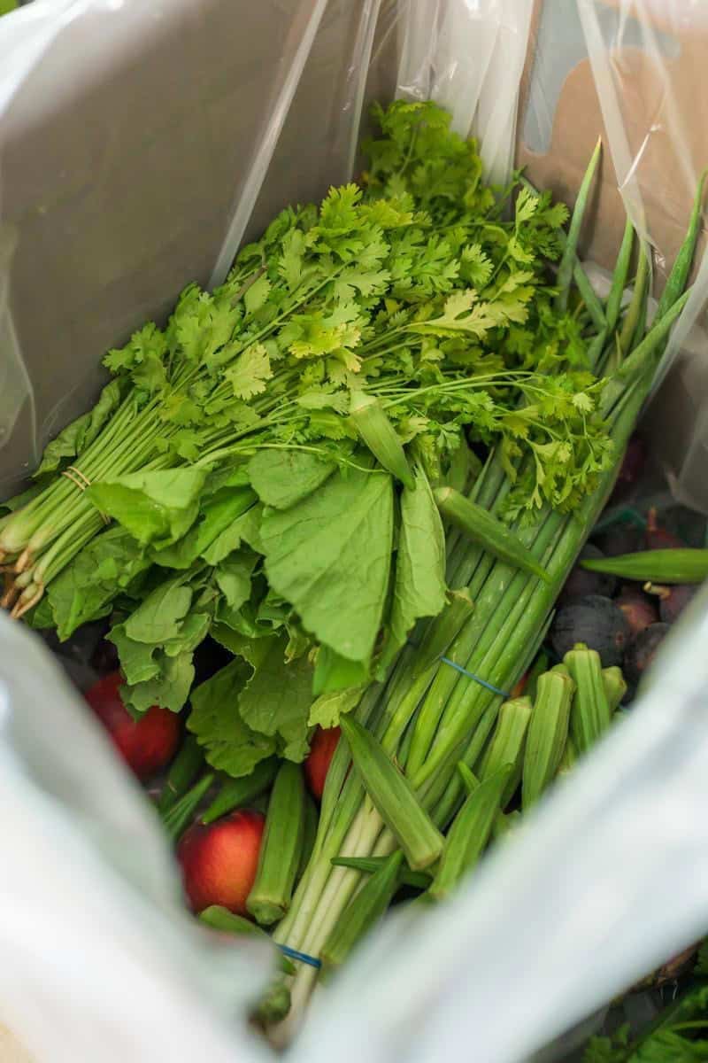 produce box with cilantro, scallions, figs and peaches