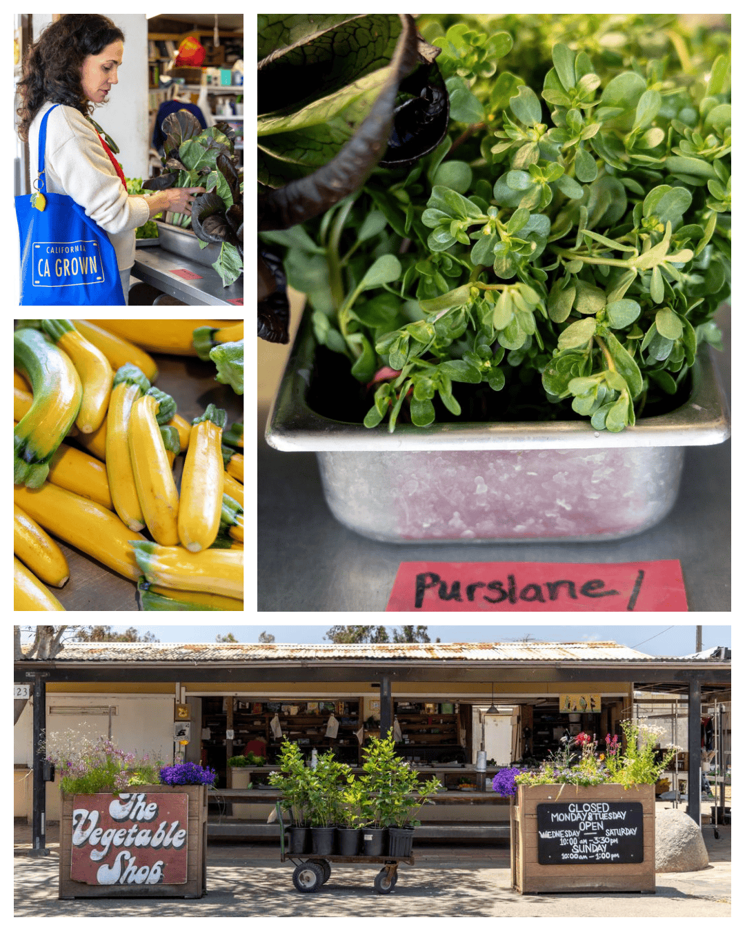 Why Chino Family Farm Is A California Agricultural Icon