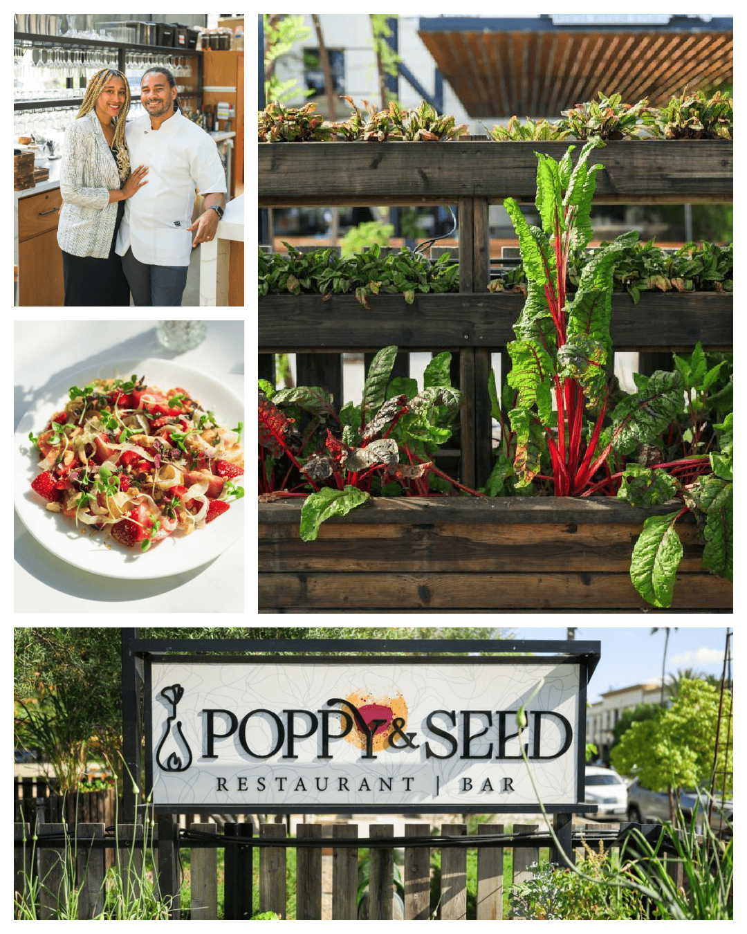 Poppy and Seed Is Where the Farm-to-Table Movement Blossoms