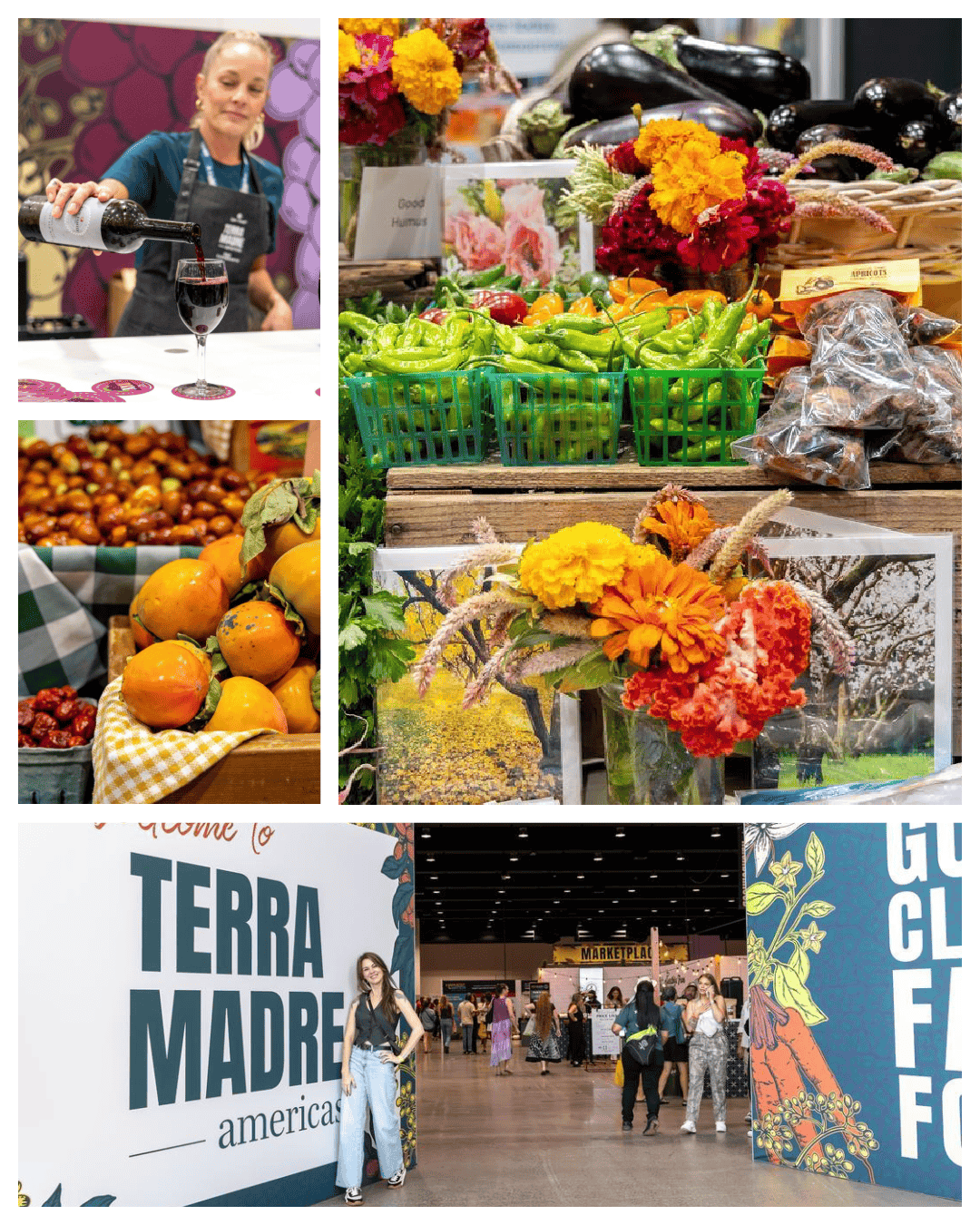 What is Terra Madre Americas?