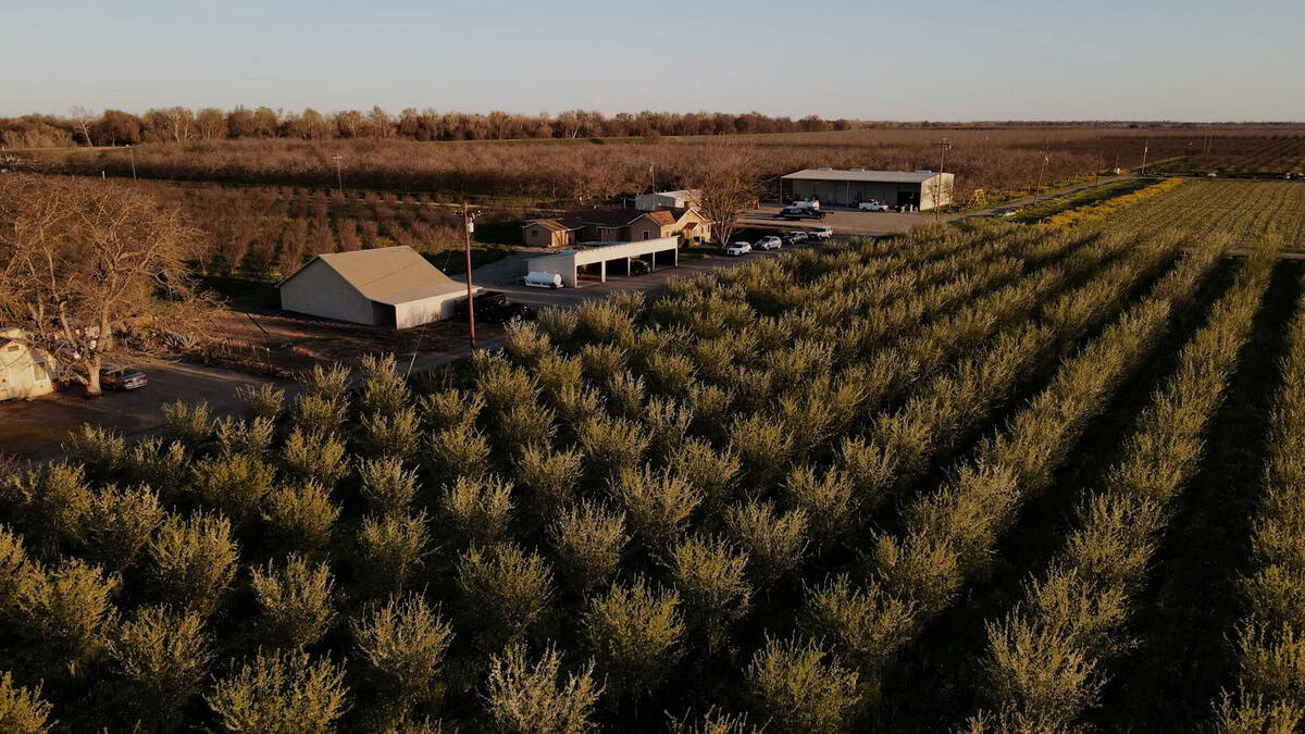 drone image of Taylor farm in Northern California