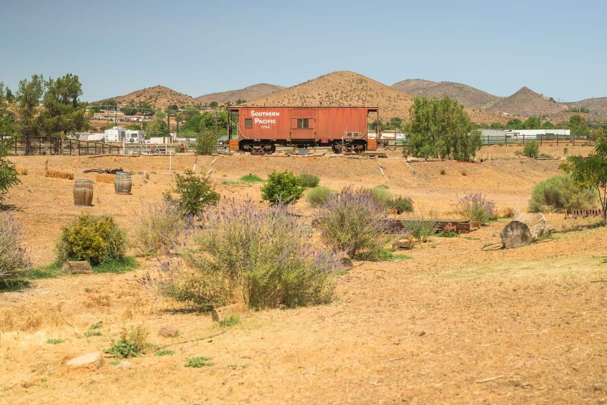 train caboose in a large arid field