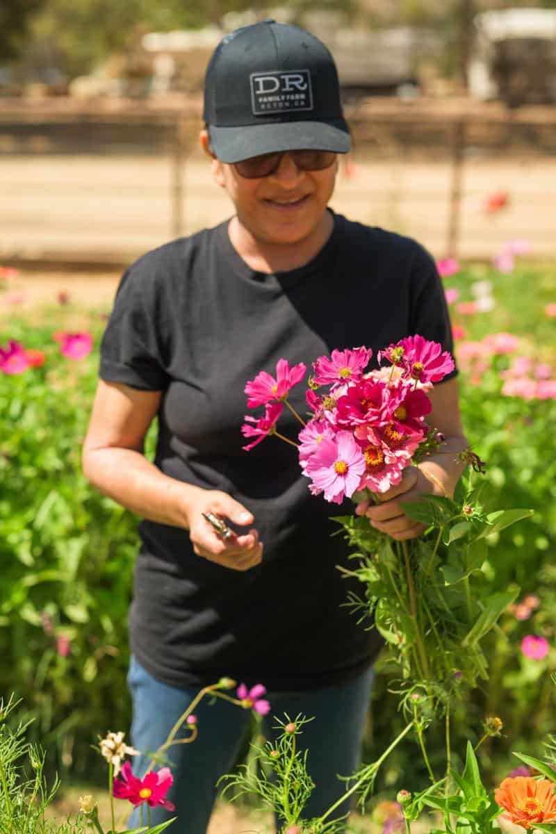 Annji DeBellis from Debillis Ranch stands in a field of pink flowers