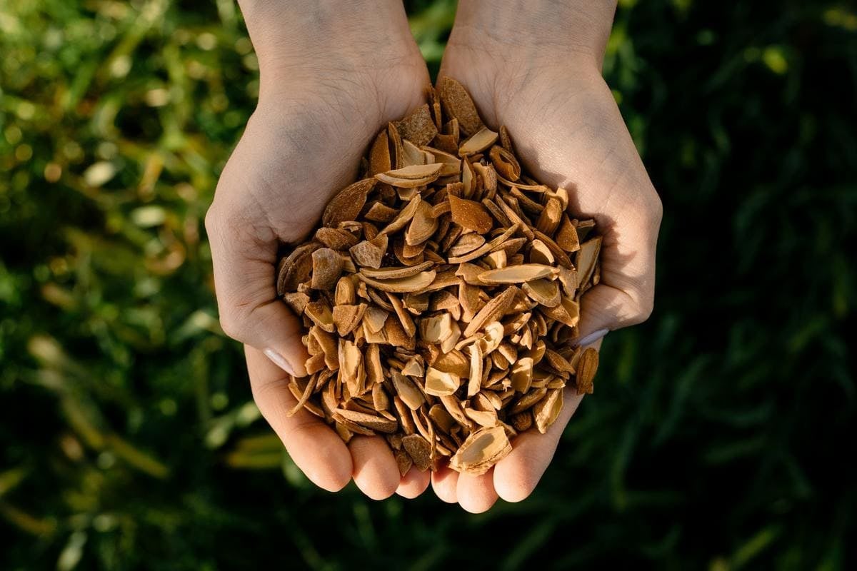 woman holding plum pits
