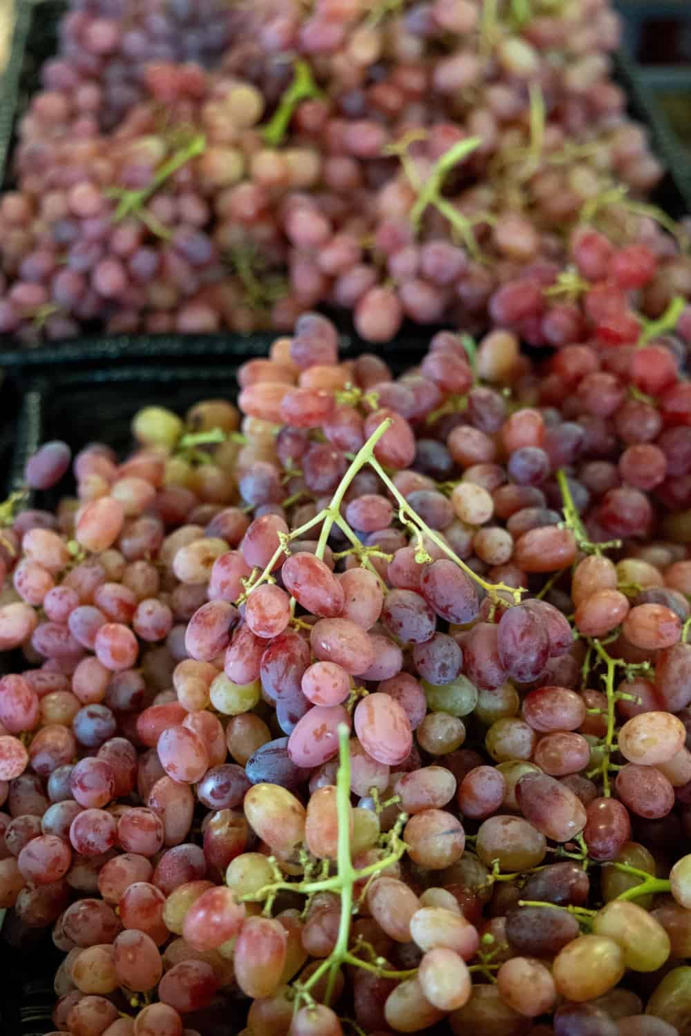 grapes at the Gibson Farm Market
