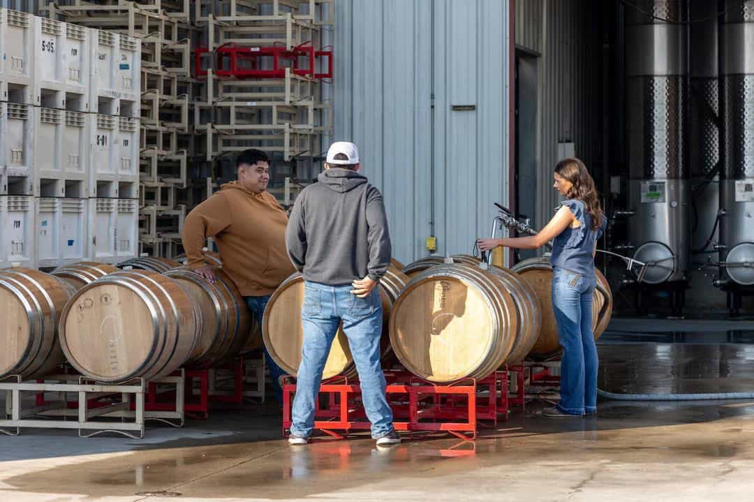 Students learning how to make wine at Fresno State University