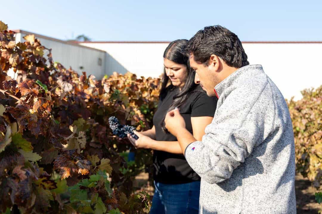 two of the Jordan College students in the campus vineyard
