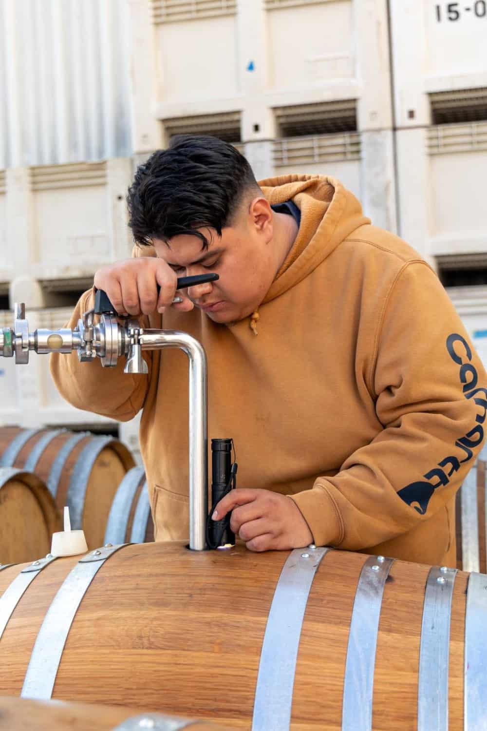 enology students checking the wine at Fresno State