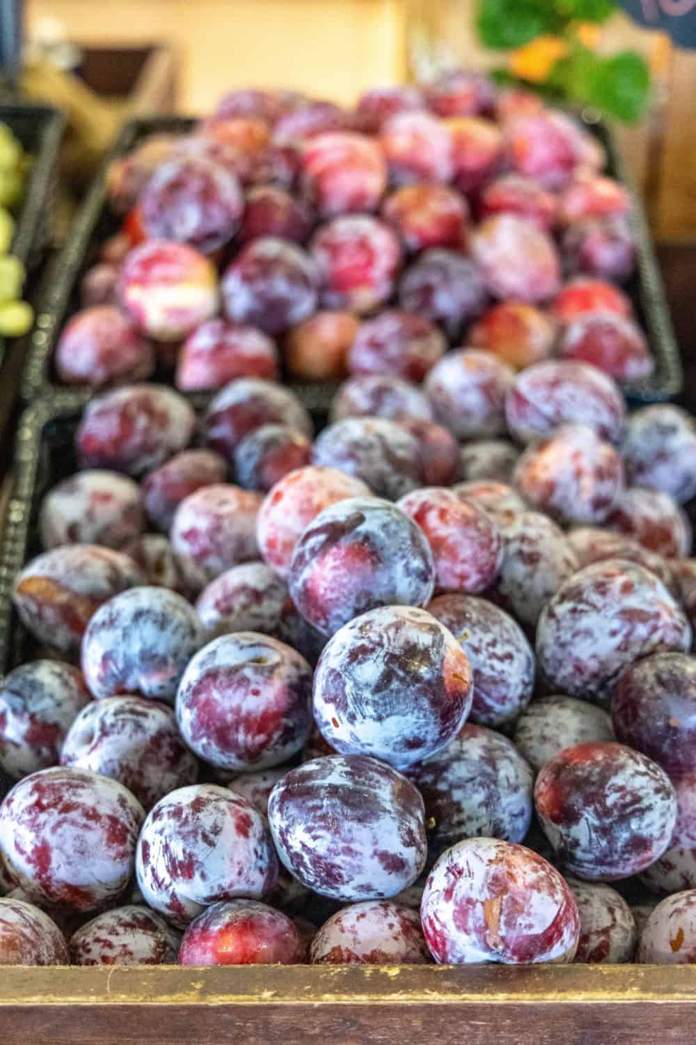plums from Gibson Market at Fresno State