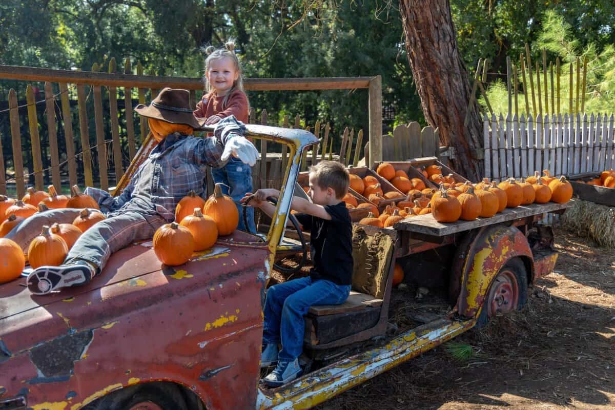 two children on a car loaded with pumpkins
