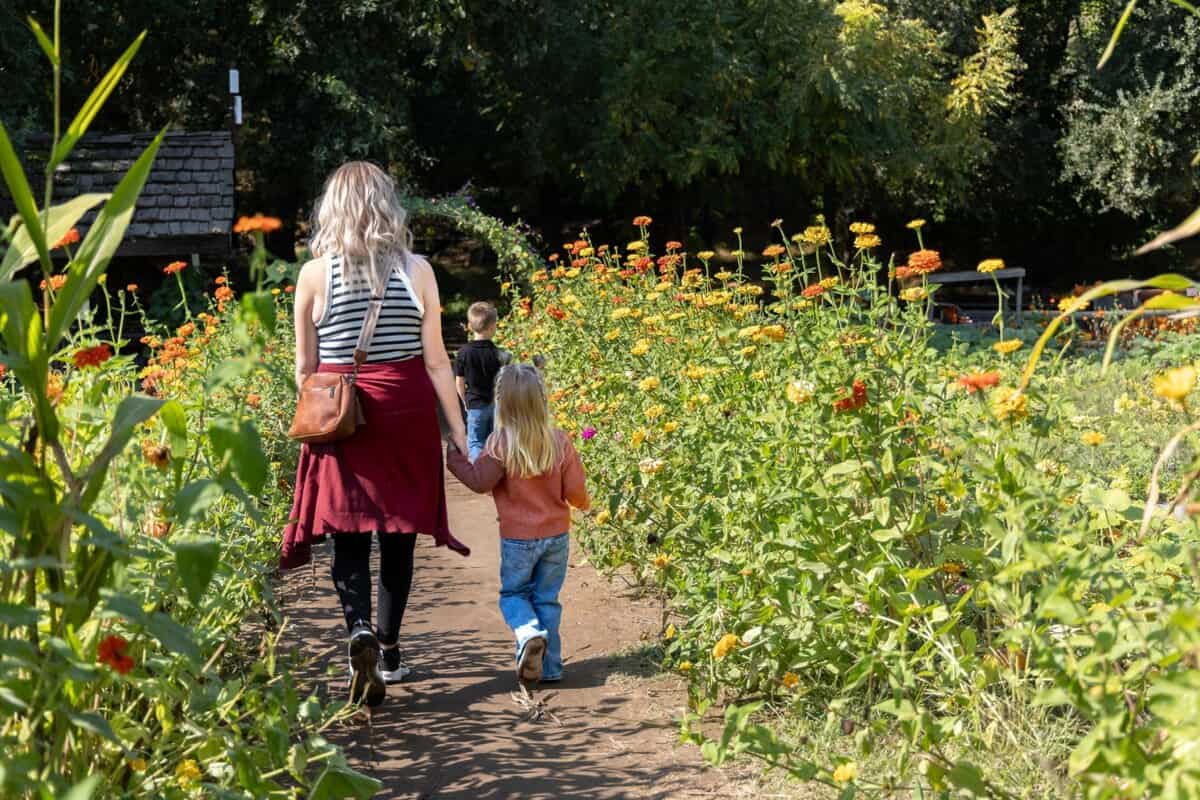 a woman and children walking down a path at Hillcrest Tree Farm